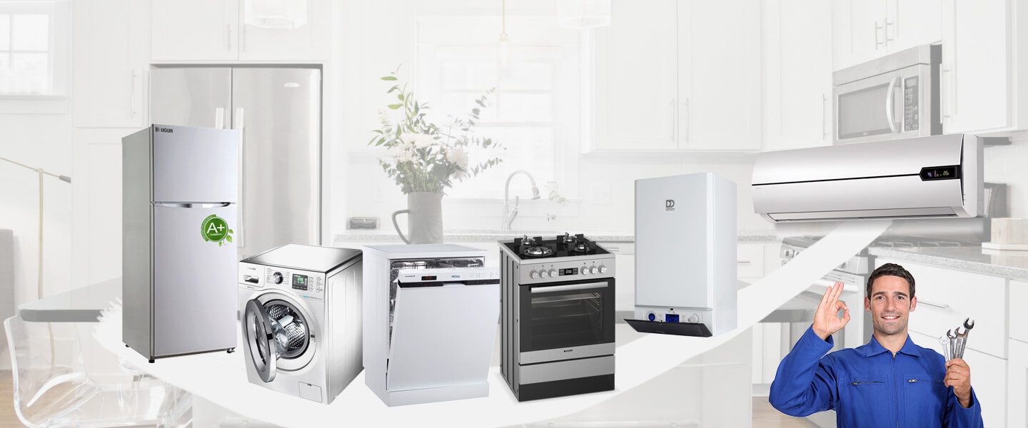 Bolvadin Smeg Servisi